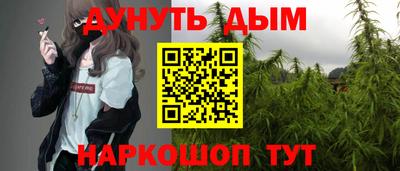 прущие грибы Краснодар