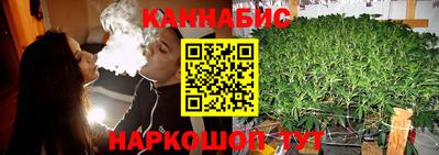 прущие грибы Краснодар